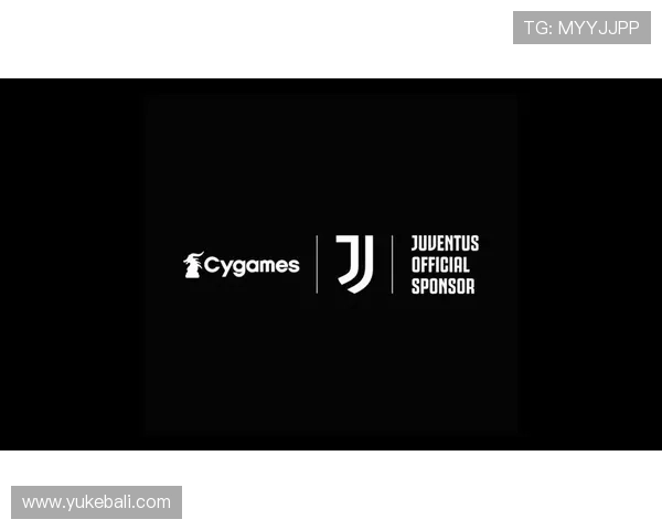 星空体育平台里尔赞助商选择指南及合作中的注意事项分析