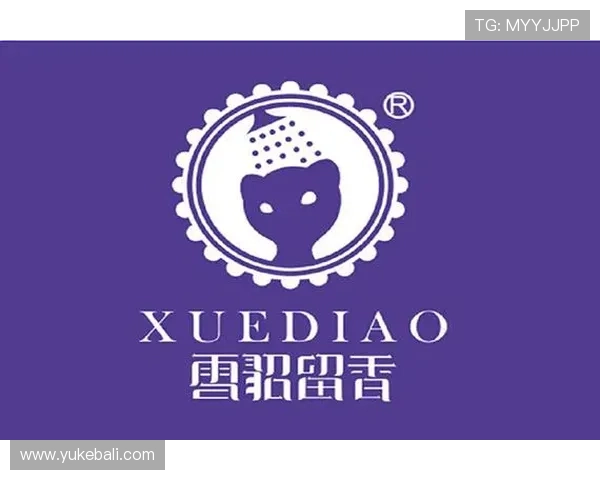 星空体育网页版下载官方最新版详细操作流程