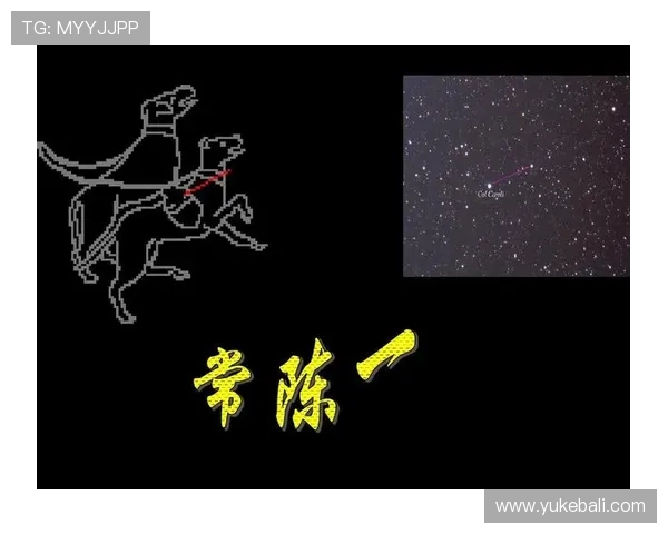 星空正规官网：星空平台的最新版本功能与使用技巧详解